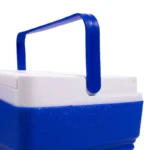Set 4 cutii frigorifice portabile ILF01, 5l / 10l / 34l / 66l, diverse culori - imagine 4